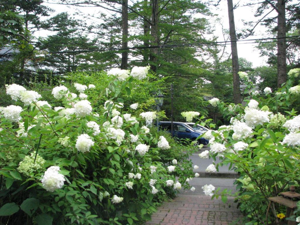 Hotel De Karuizawa Wald Luaran gambar